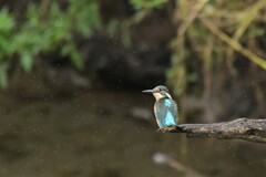 雨の日でも．．．