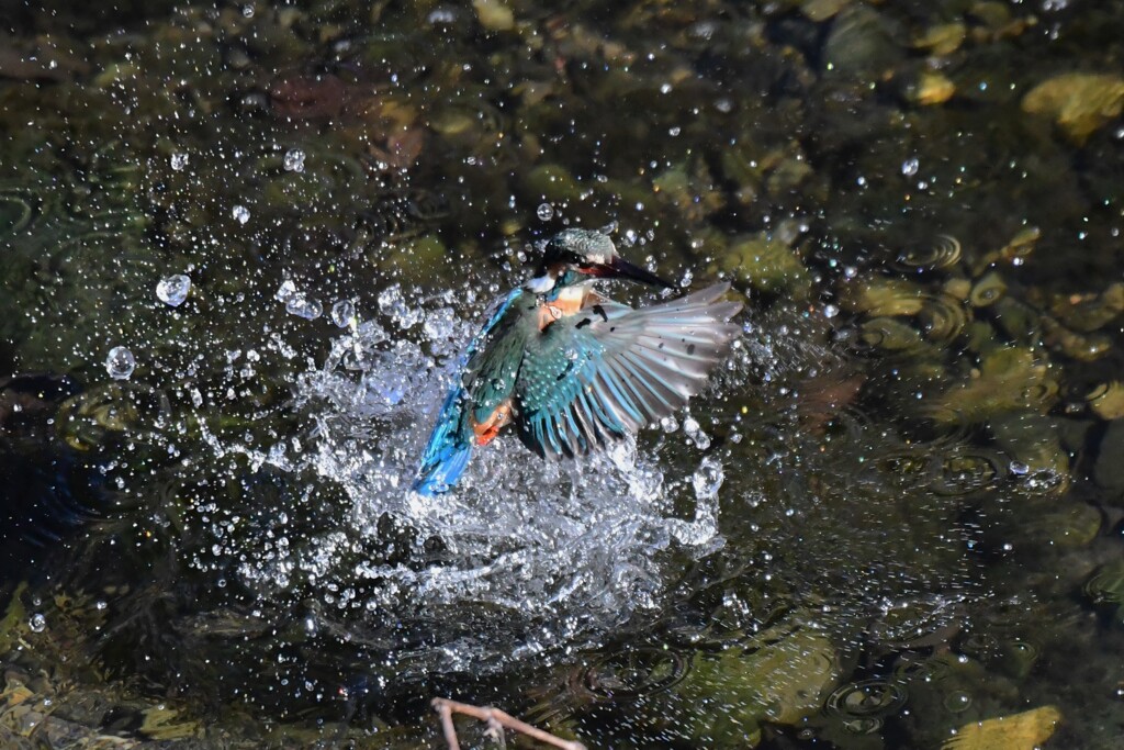 ゲンキハツラツ