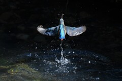 5 垂直浮上