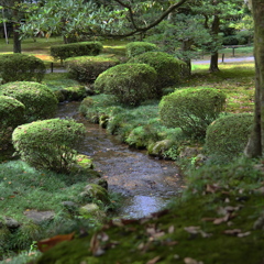 緑の中のせせらぎ