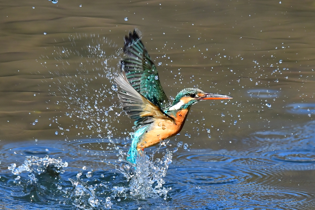 離水