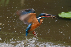 A4A942C5-8106-4927-9240-B466234D7836