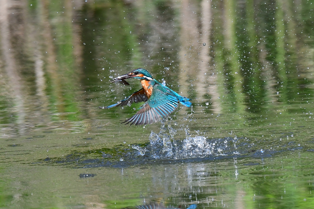 離水