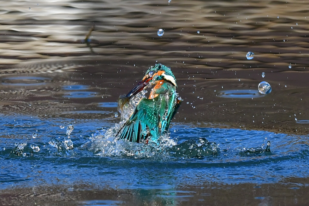 浮上