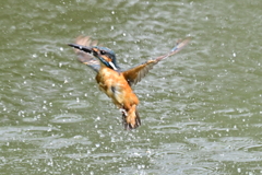 水浴びでした