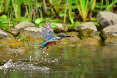 離水