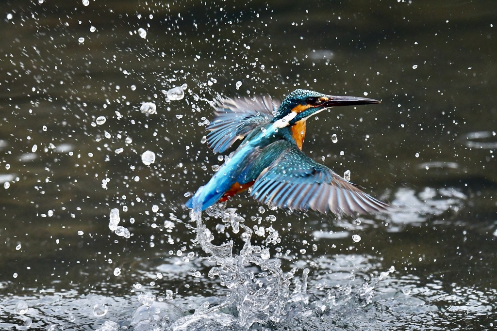 離水