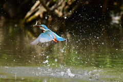 離水