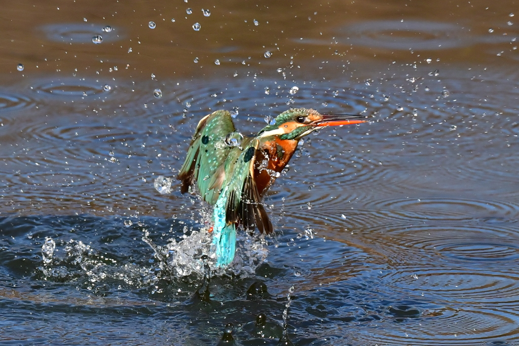 離水