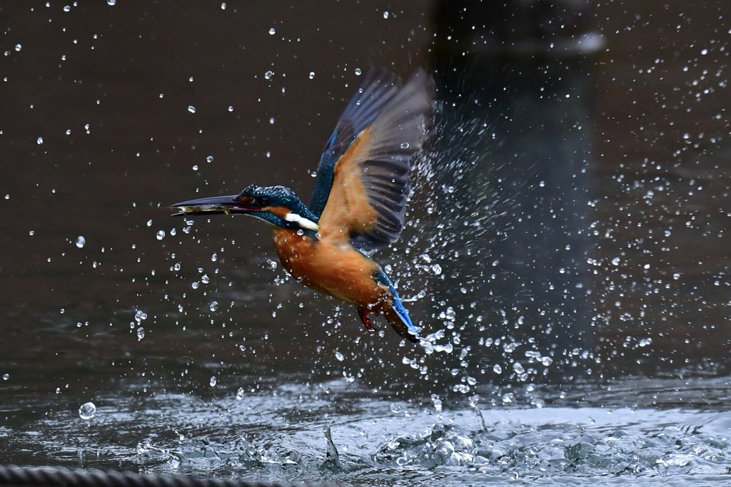 離水