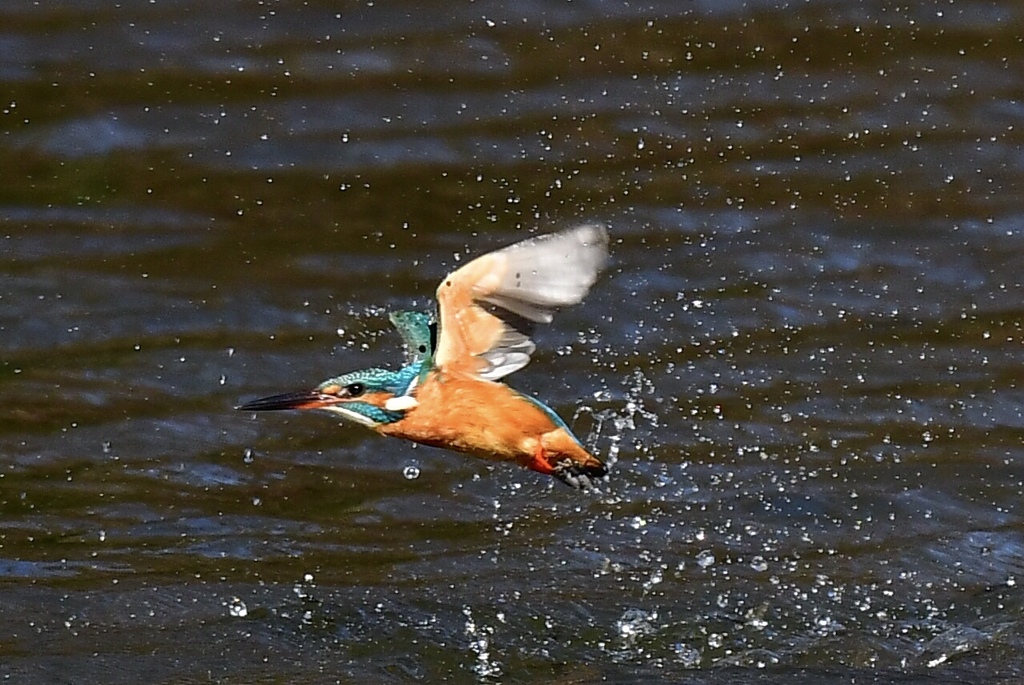 N池、離水からの飛行