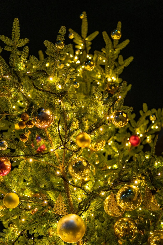 Xmas tree