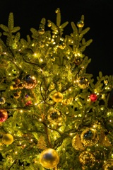Xmas tree