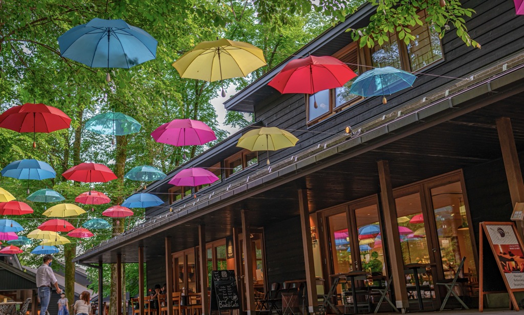 umbrella Sky