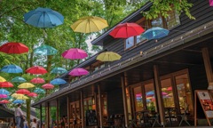 umbrella Sky