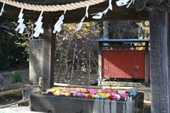 ねこ神社