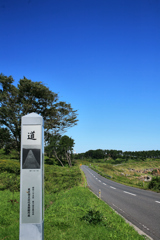 道の碑から鮫角灯台を望む