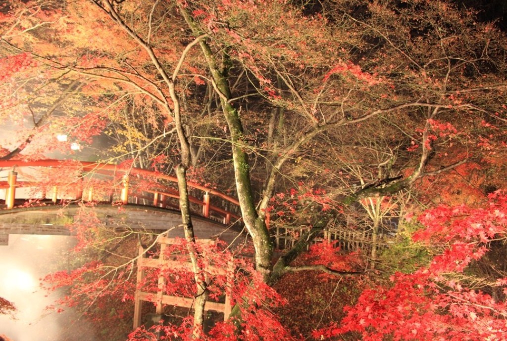 晩秋の河鹿橋