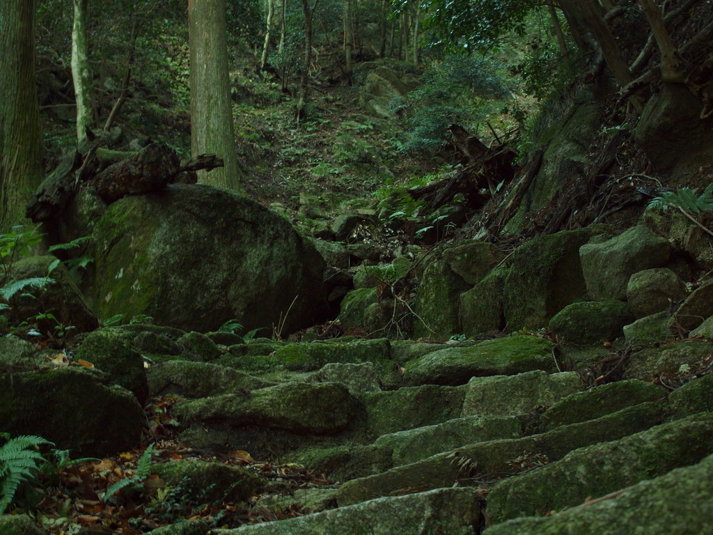 苔生す道