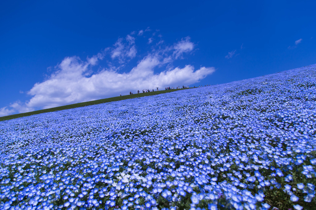 天地Blue