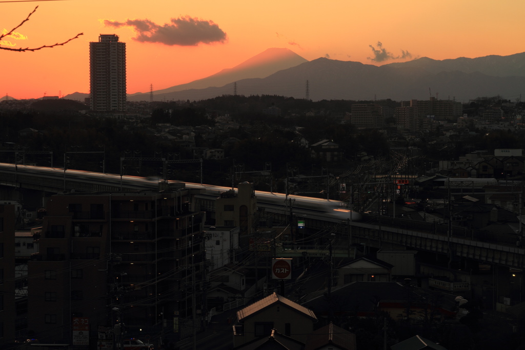 富士山神社