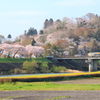 釣山