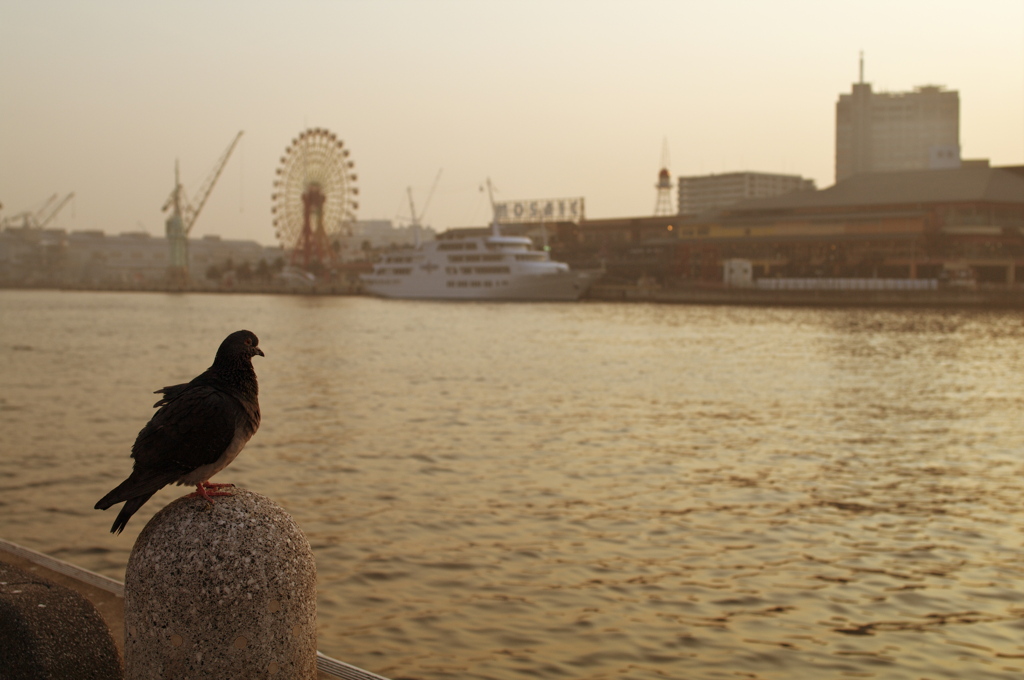 海まで来たぜ