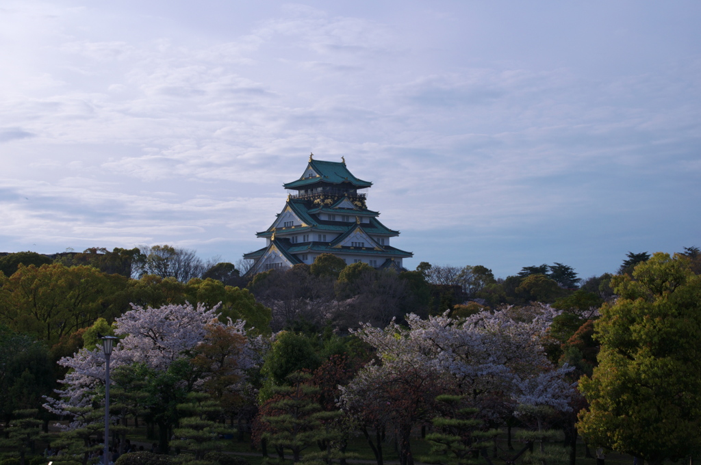 春の大阪城4