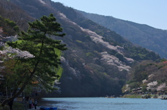 春の嵐山