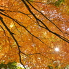 山吹色