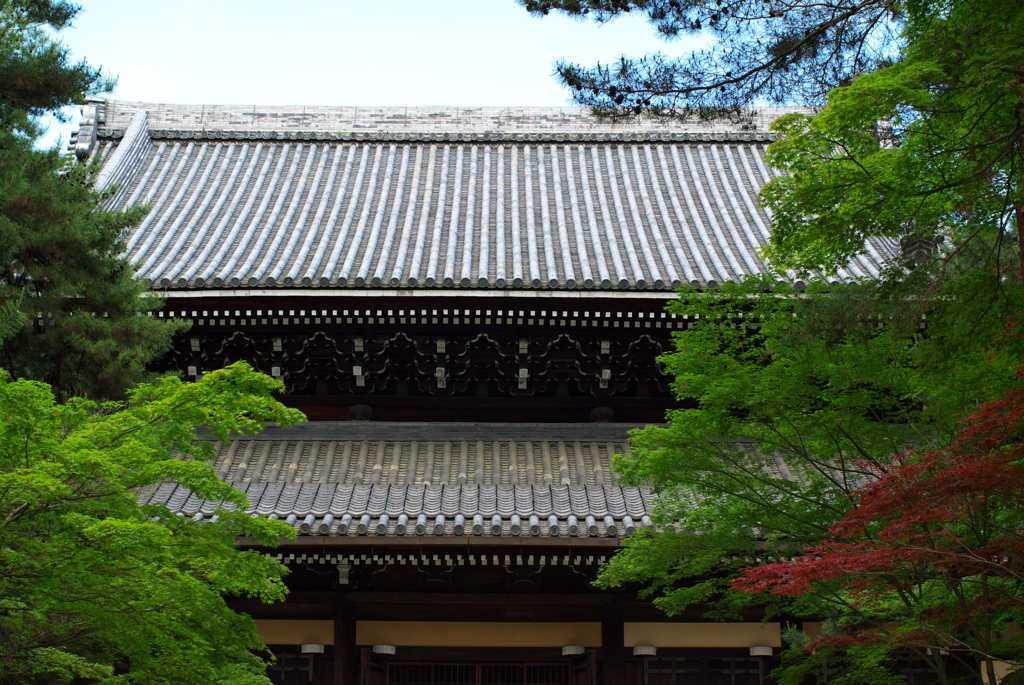 初夏の南禅寺にて