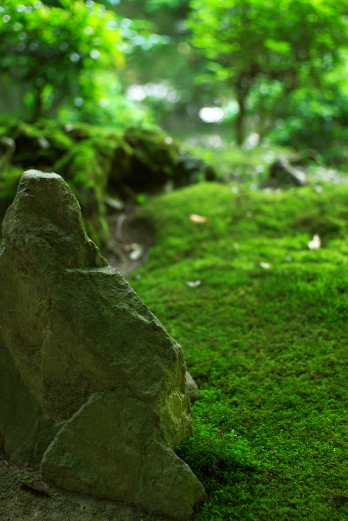 緑の絨毯