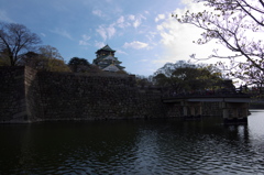春の大阪城2