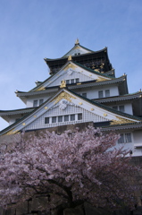 春の大阪城1