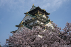 春の大阪城2