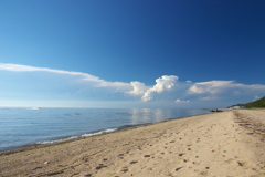 夏の砂浜
