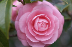 重なり合った芸術