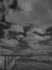 IMG_9785