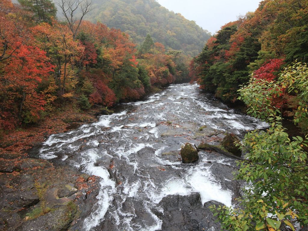 滝の上流