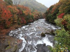 滝の上流