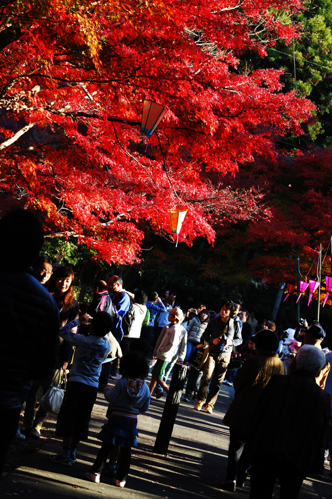 紅葉と人々。
