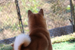 視線の先にあるものは。。。