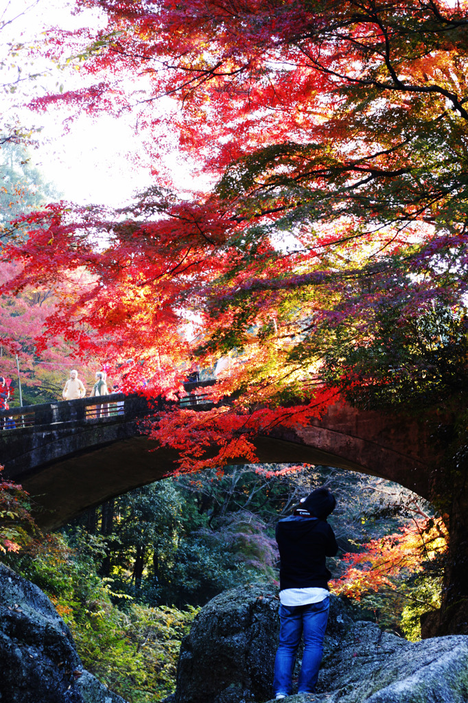橋と紅葉とカメラマン。