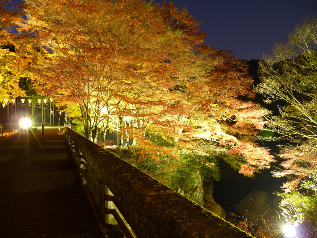 紅葉