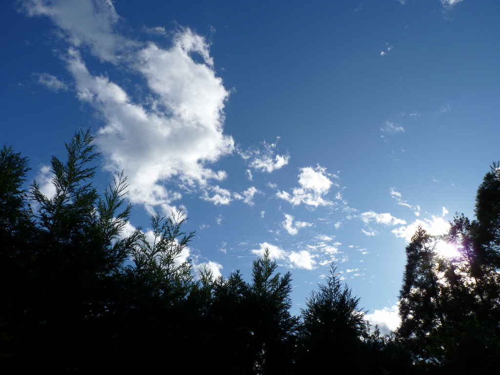 空を見上げてみれば。