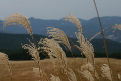 曽爾高原にて#2