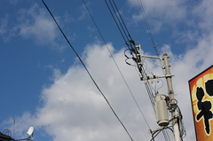 電線とその他大勢の仲間達