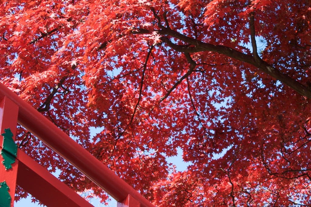同じ色