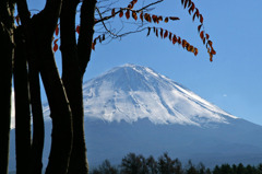 山