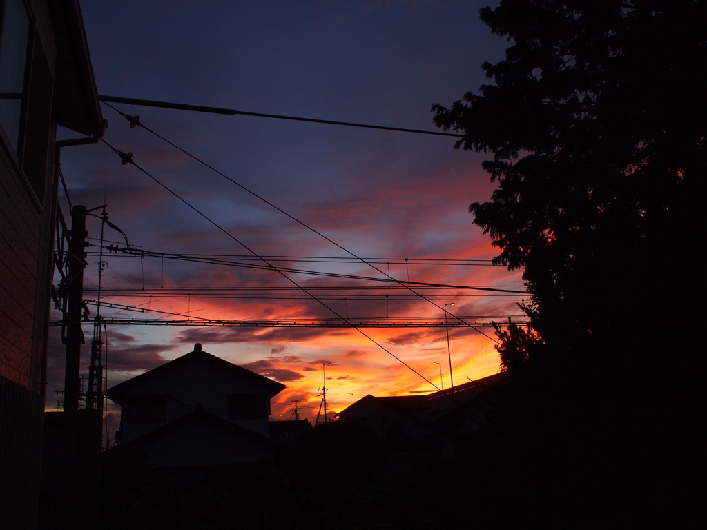 シルエットと夕焼け